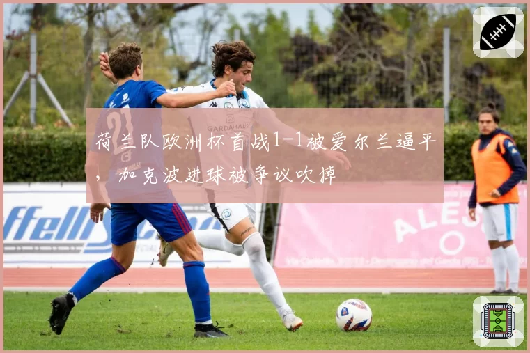 荷兰队欧洲杯首战1-1被爱尔兰逼平，加克波进球被争议吹掉